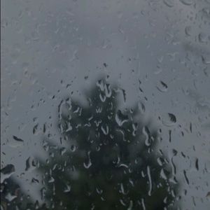 Meet your Posher, Sirine